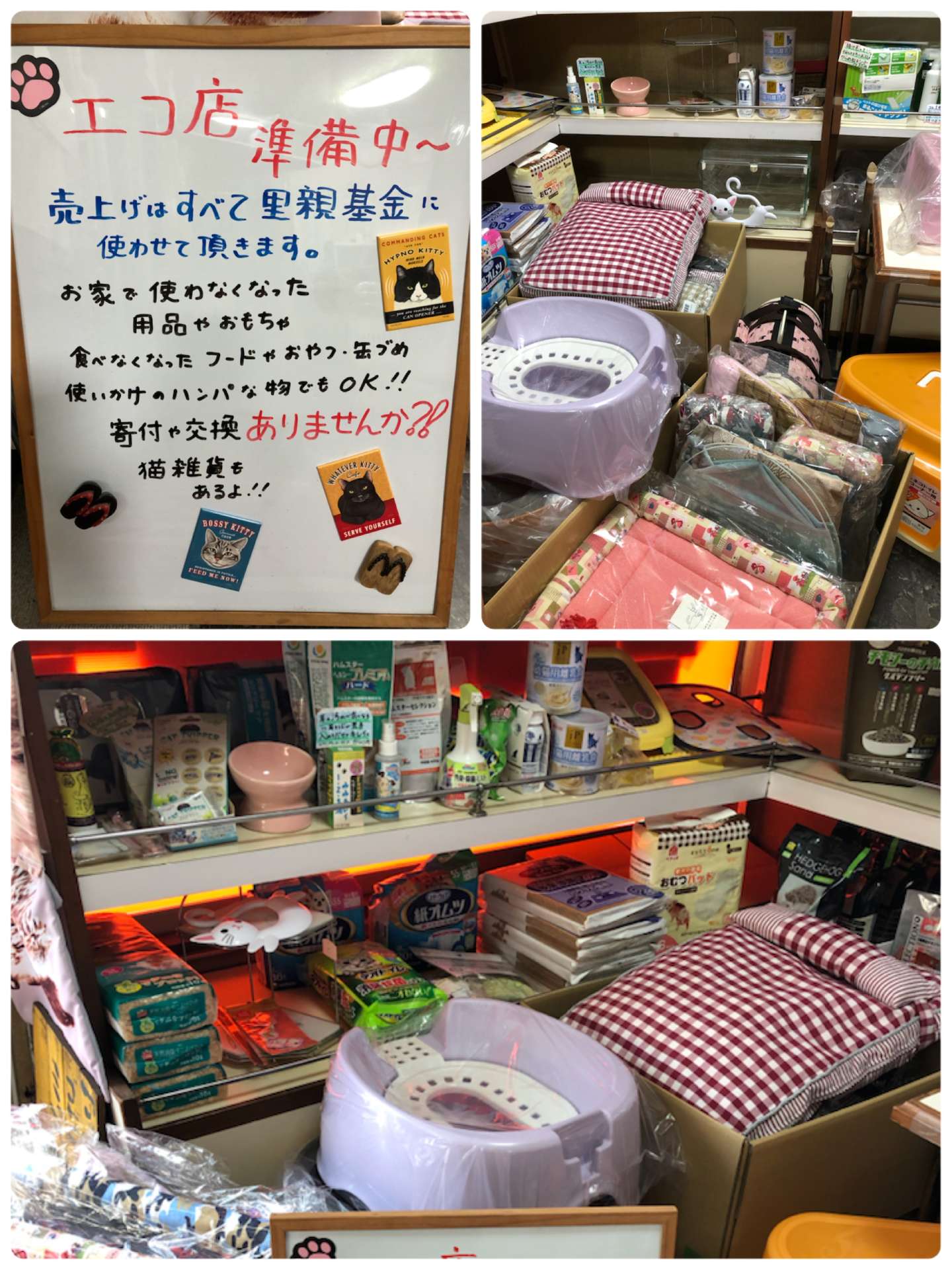 #エコ店＃準備中＃猫＃ハムスター