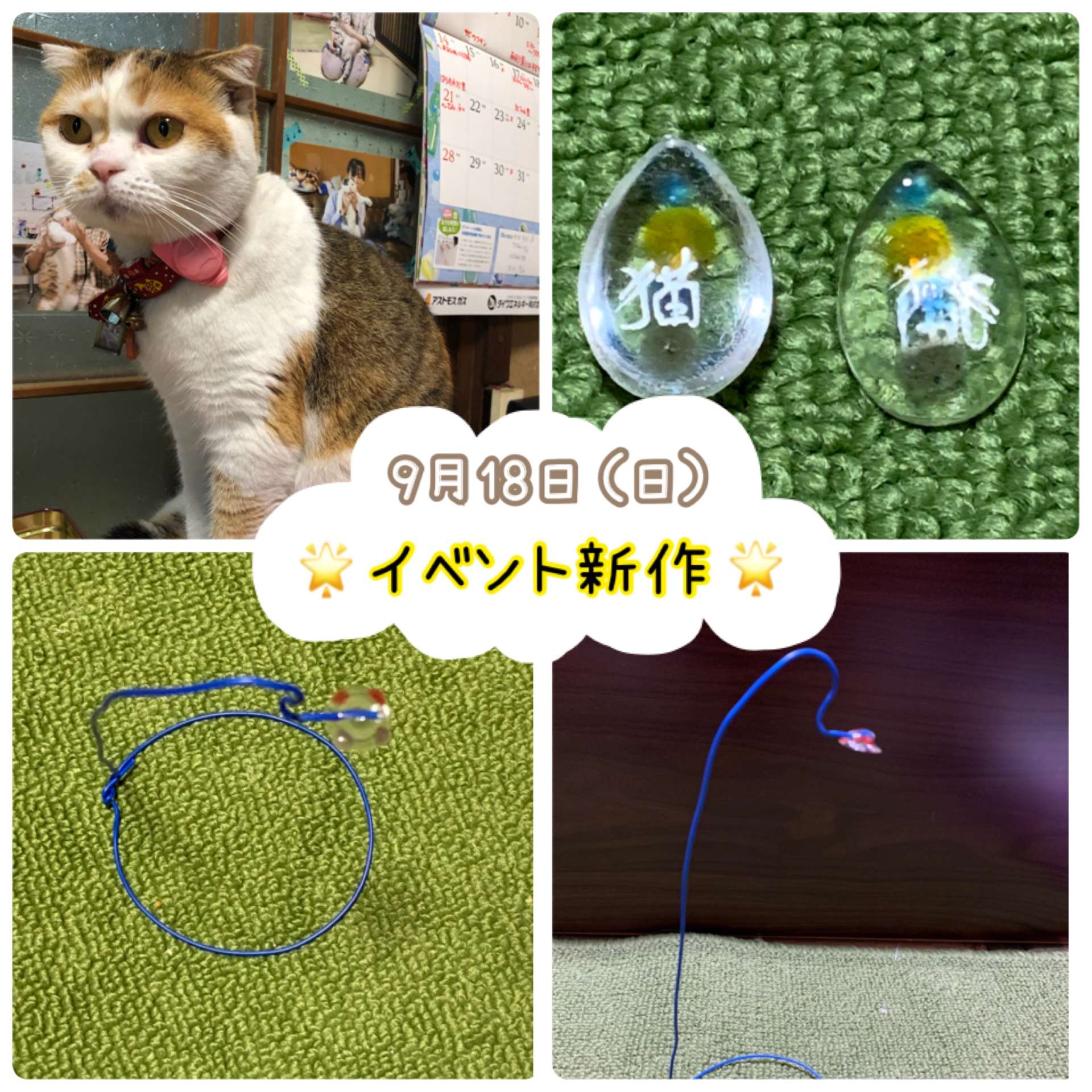 #猫　#イベント　#健康　#病気　#ペット