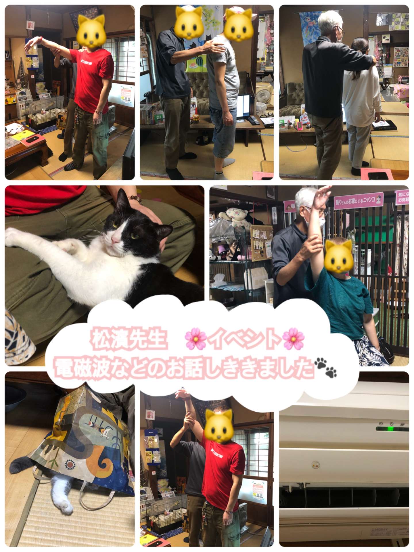 #猫　#健康　#電磁波の影響