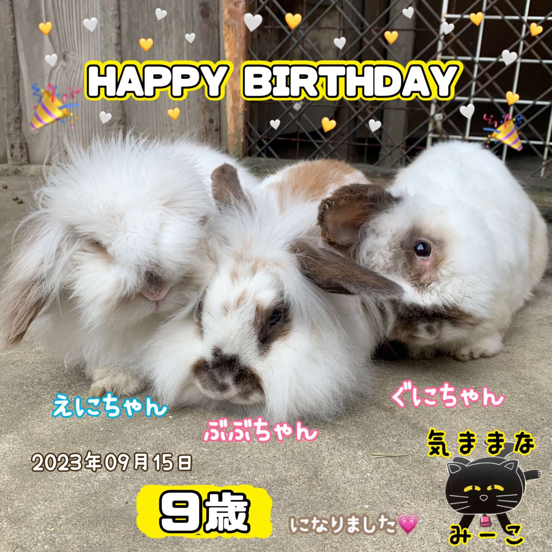 #誕生日　#うさぎ　