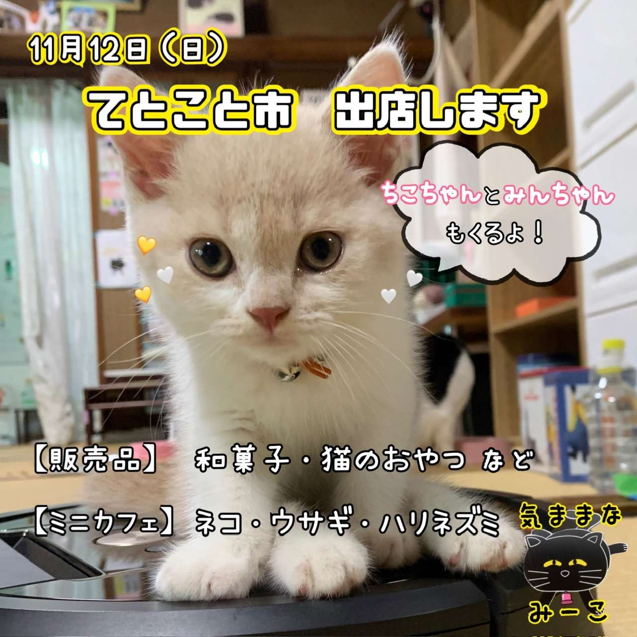 #てとこと市　#猫　#保護猫　#てとこと市出店します　#明日店は休みです